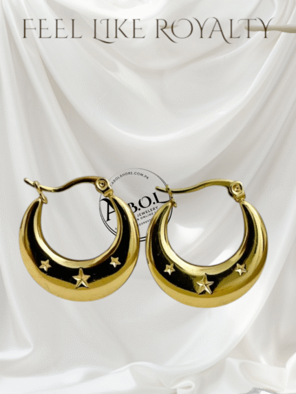 Star shine S.S earrings